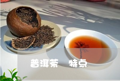 普洱茶 特点/2023042823051